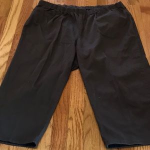 Woman Within~Elastic Waist Capris 🤎